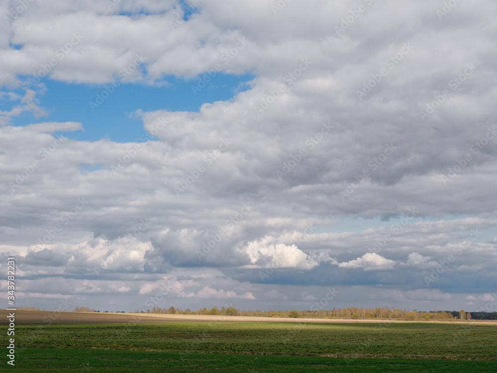 panorama horizon spring green field sown against the sky with clouds panorama horizon spring green field sown against the sky with clouds