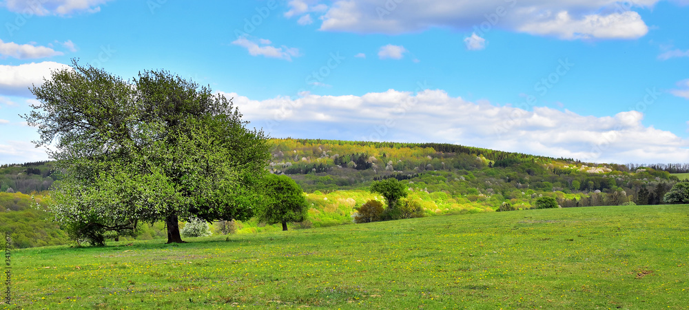 Fototapeta premium Spring nature landscape panorama background