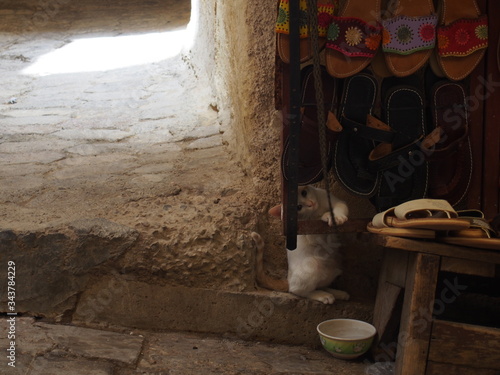 A cat playing in a souvenir shop in the medina, Fez, Morocco
