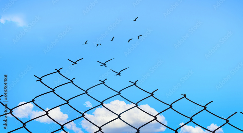 Broken Chainlink Fence with Bright Blue Sky and Birds Flying, Fight for Better Life concept, Think out of the box and Free your mind concept Broken Chainlink Fence with Bright Blue Sky and Birds Flying, Fight for Better Life concept, Think out of the box and Free your mind concept