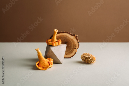 Autumn mushrooms and wood on table