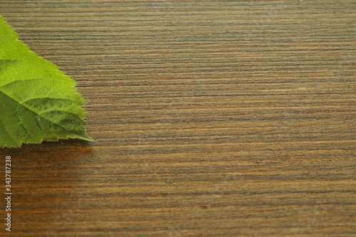 green leaf on wooden background