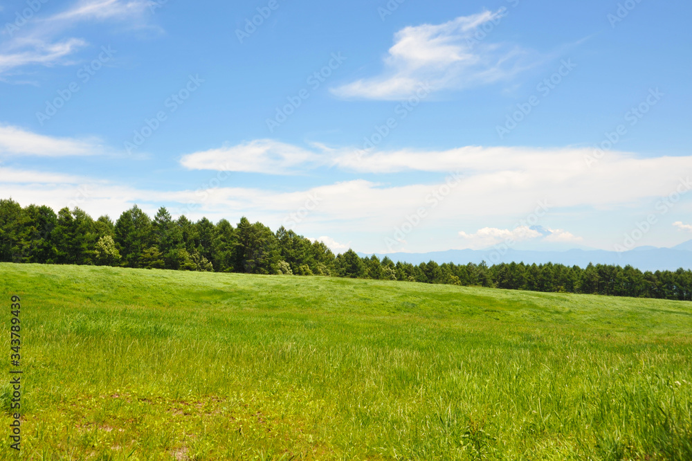 草原と森と山と青空