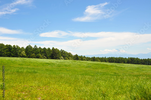 草原と森と山と青空