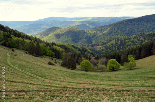 Blick vom Hinterwaldkopf auf den Schwarzwald unter Wolken photo