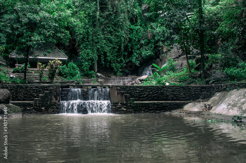 Beautiful nature in the jungle of Thailand