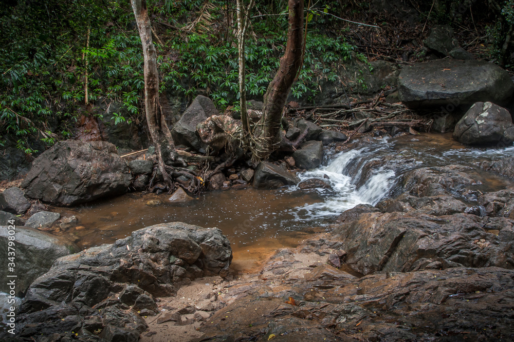 Fototapeta premium Beautiful nature in the jungle of Thailand
