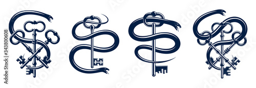 Snake wraps around vintage key, protected secret concept, turnkey and serpent old style tattoo, vector symbol logo or emblem.