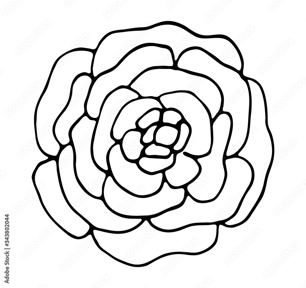 Rose flower vector illustration. Hand drawing black and white floral doodles. Modern botanical art for cards, invitations and product design. Rose flower vector illustration. Hand drawing black and white floral doodles. Modern botanical art for cards, invitations and product design.