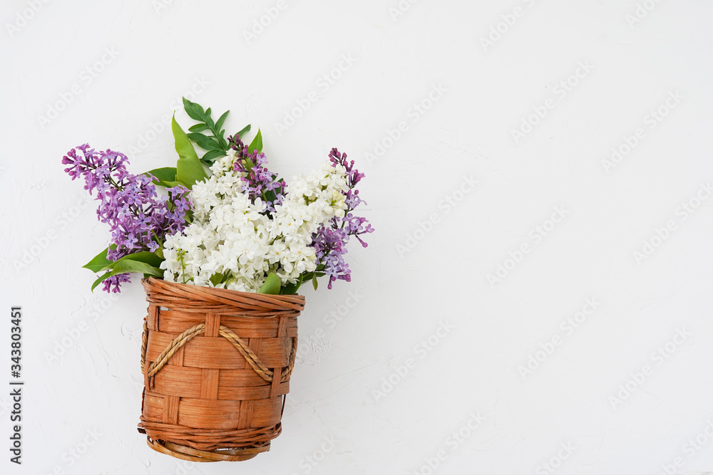 Fresh spring bouquet purple lilac in plant pot isolated on white background