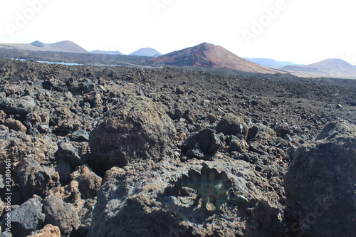 lanzarote triceratops