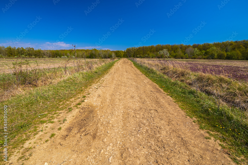Farming landscape with clear blue sky. Panoramic picture with country road