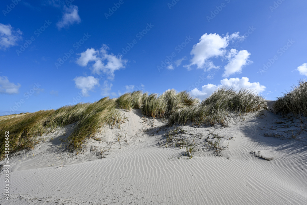 custom made wallpaper toronto digitalDünen Baltrum