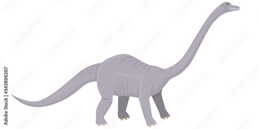 Obraz premium Diplodocus in cartoon style. Herbivorous dinosaur isolated on white background.