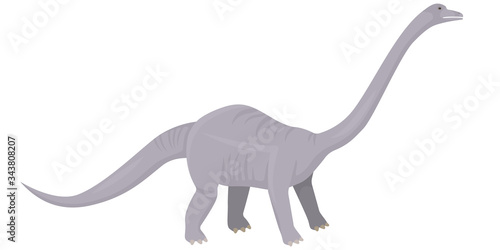 Diplodocus in cartoon style. Herbivorous dinosaur isolated on white background.