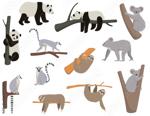 Big set of animals living on trees. Panda, lemur, sloth, koala in different poses.