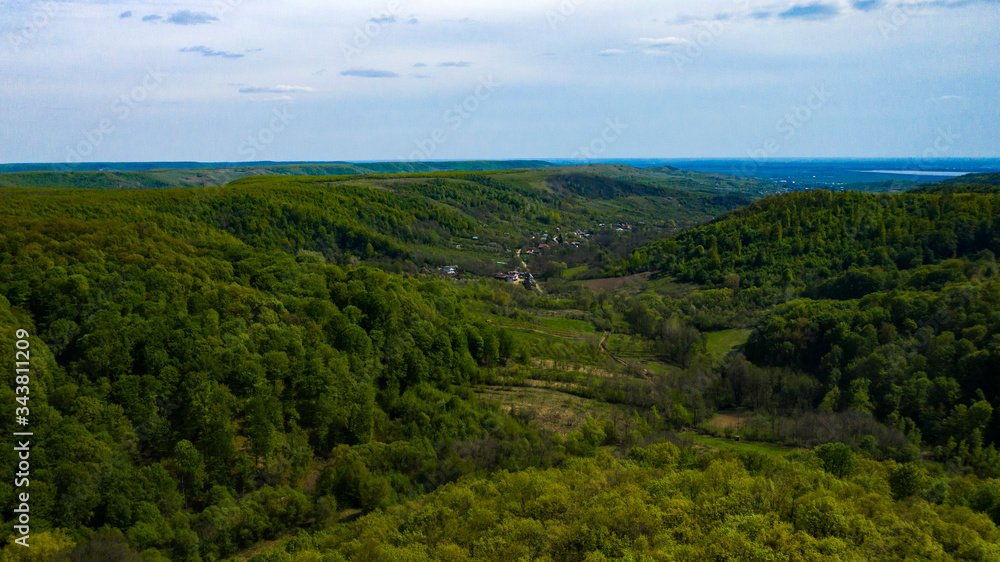 Aerial View of drone flying over the green forest