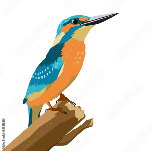 オスのカワセミ