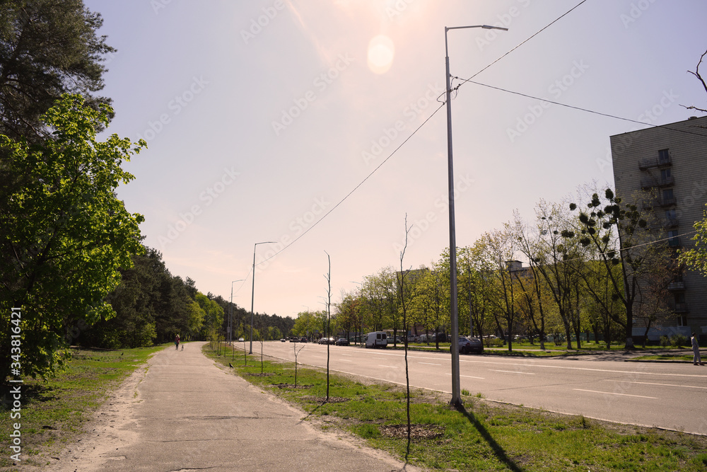 View of the road in the city near nature in spring