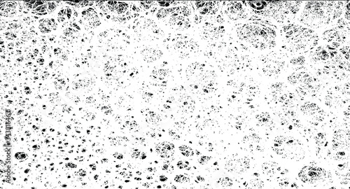 Rough black and white texture vector. Distressed overlay texture. Grunge background. Abstract textured effect. Vector Illustration. Black isolated on white background. EPS10.
