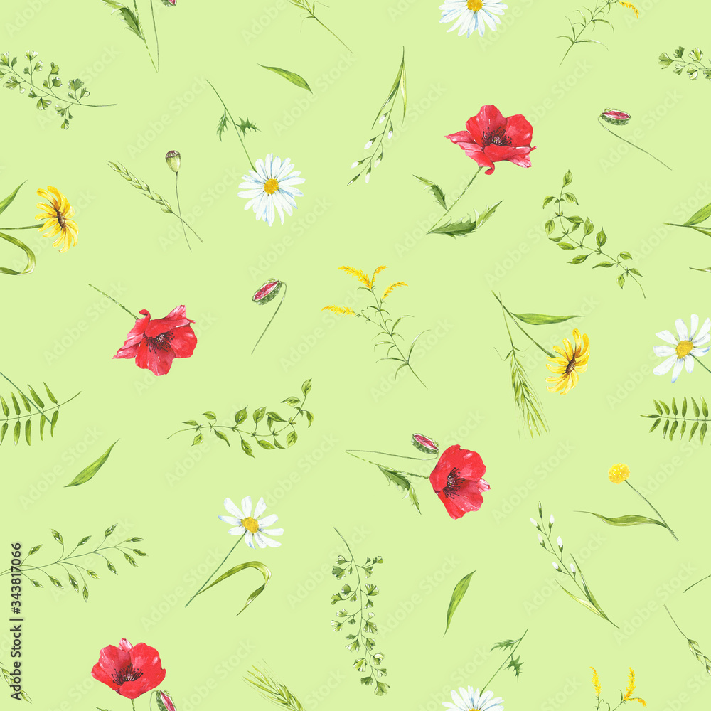 summer watercolor seamless pattern  wildflowers.  meadow flowers, plant, leaves