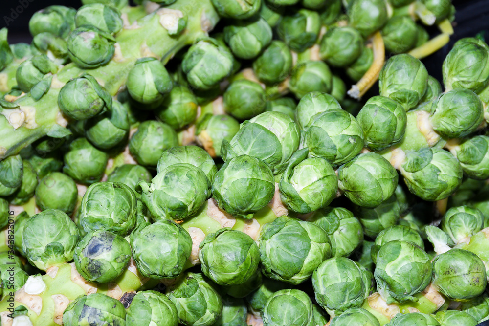 The Brussels sprouts stalk The Brussels sprouts stalk