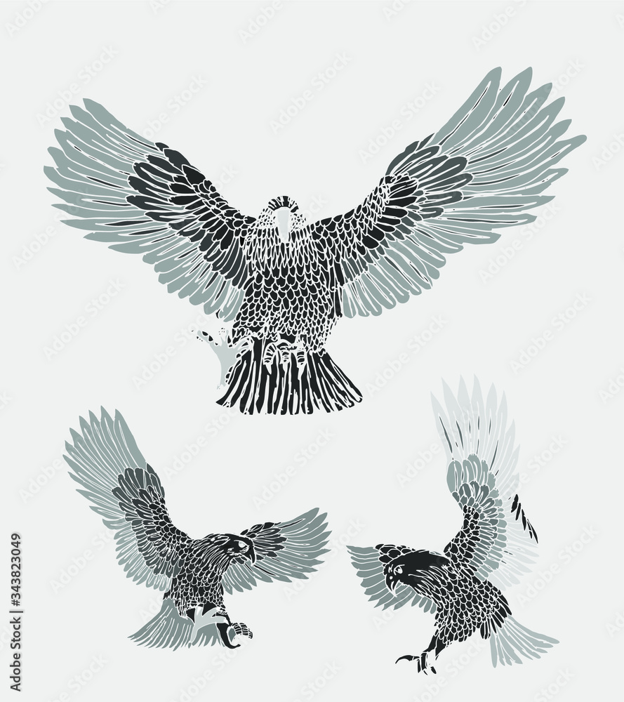 Obraz premium tattoo tribal eagle tshirt print embroidery graphic design vector art