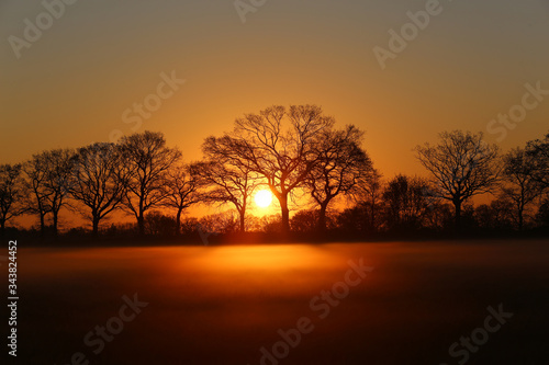 Sonnenaufgang hinter Baumreihe am Feldrand im Nebel