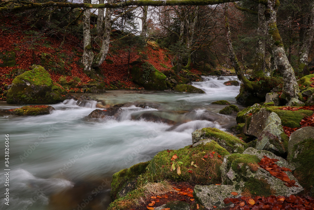 ambiance automnale , pyrénée