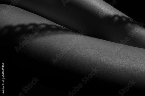 Bodyscape - body photography