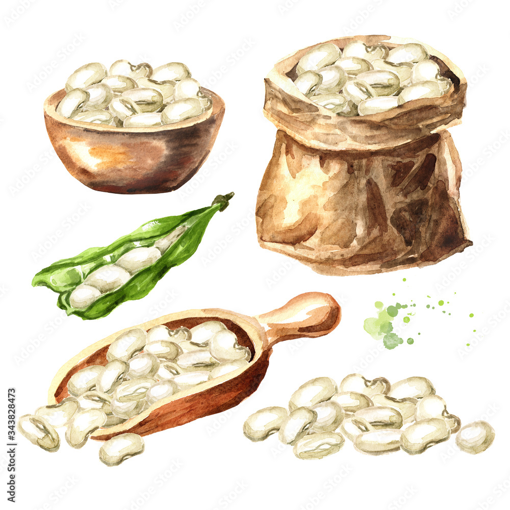 Paper bag, bowl and scoop with White kidney beans and pod set. Hand drawn  watercolor illustration, isolated on white background Stock Illustration |  Adobe Stock