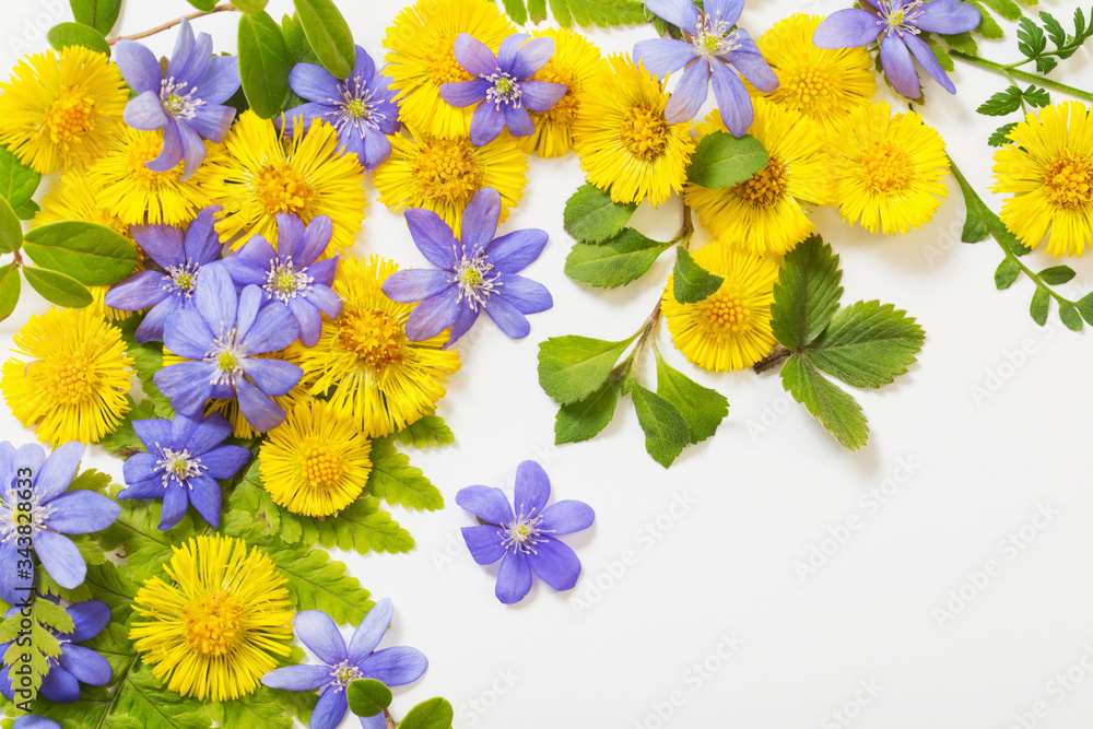 spring yellow and violet flowers on paper background spring yellow and violet flowers on paper background