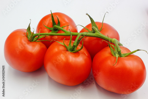 ripe fresh red tomato on vine panoramic isolated on white background