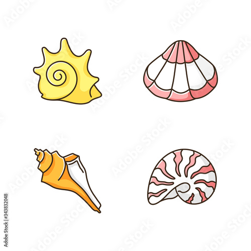 Various seashells RGB color icons set