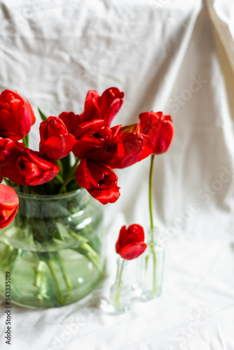 Glass vase with beautiful red tulips on white background