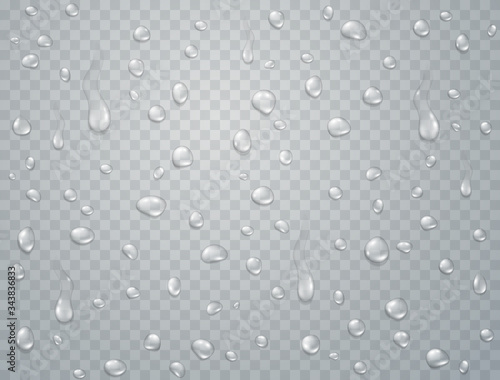 Water rain drops or steam shower isolated on transparent background. Vector pure droplets on window glass surface pattern