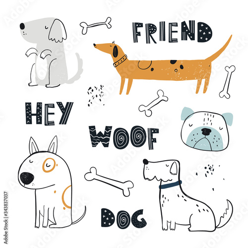 Vector hand-drawn color childish simple set with cute dogs, bones and lettering in Scandinavian style on a white background. Set with dogs for kids. Dogs print. Cute baby animals.
