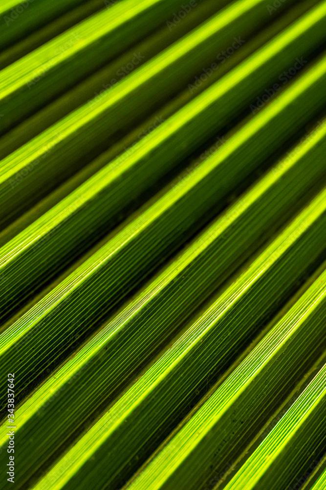 green striped background green striped background