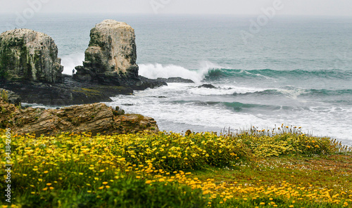 Punta Lobos - Pichilemu - Chile photo