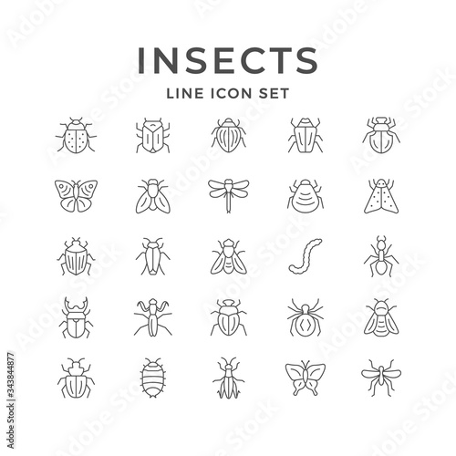Set line icons of insects