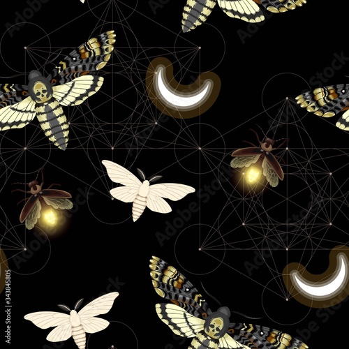 Vector pattern with death head hawk moth