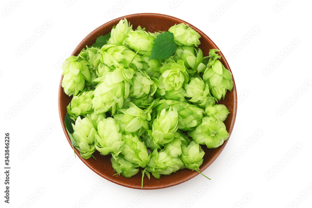 Hop cones isolated on white background. Beer brewing ingredients. Beer brewery concept. Beer background. Top view Hop cones isolated on white background. Beer brewing ingredients. Beer brewery concept. Beer background. Top view