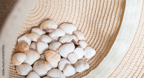 White shells in a straw hat: a place for text