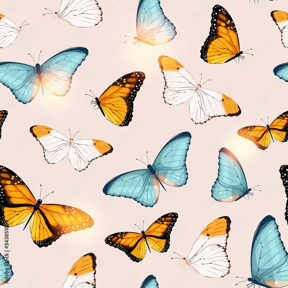 Realistic butterfly in turquoise and orange