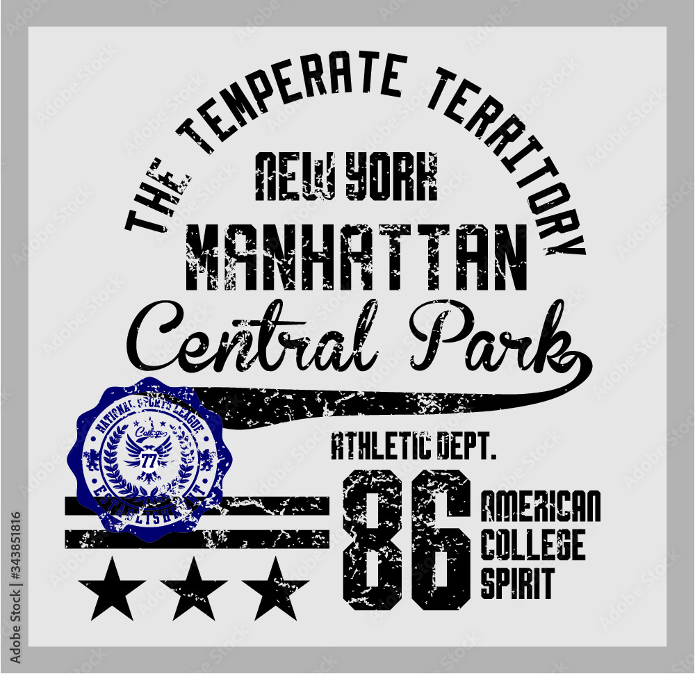 Fototapeta premium New york Manhattan tshirt print embroidery graphic design vector art