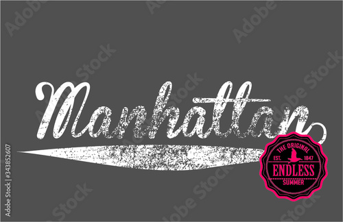 New york Manhattan central park tshirt print embroidery graphic design vector art
