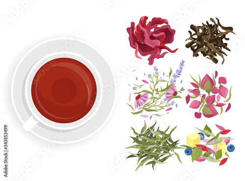 Herbal tea vector illustration set. Cartoon flat teacup with healthy drink, herb beverage cafe menu of natural plants, flowers, berries and fruits. Aroma tea vegetarian collection isolated on white