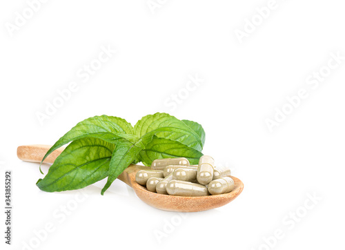Andrographis Paniculata fresh herbs, plants and capsules in a wooden spoon Isolated on white background