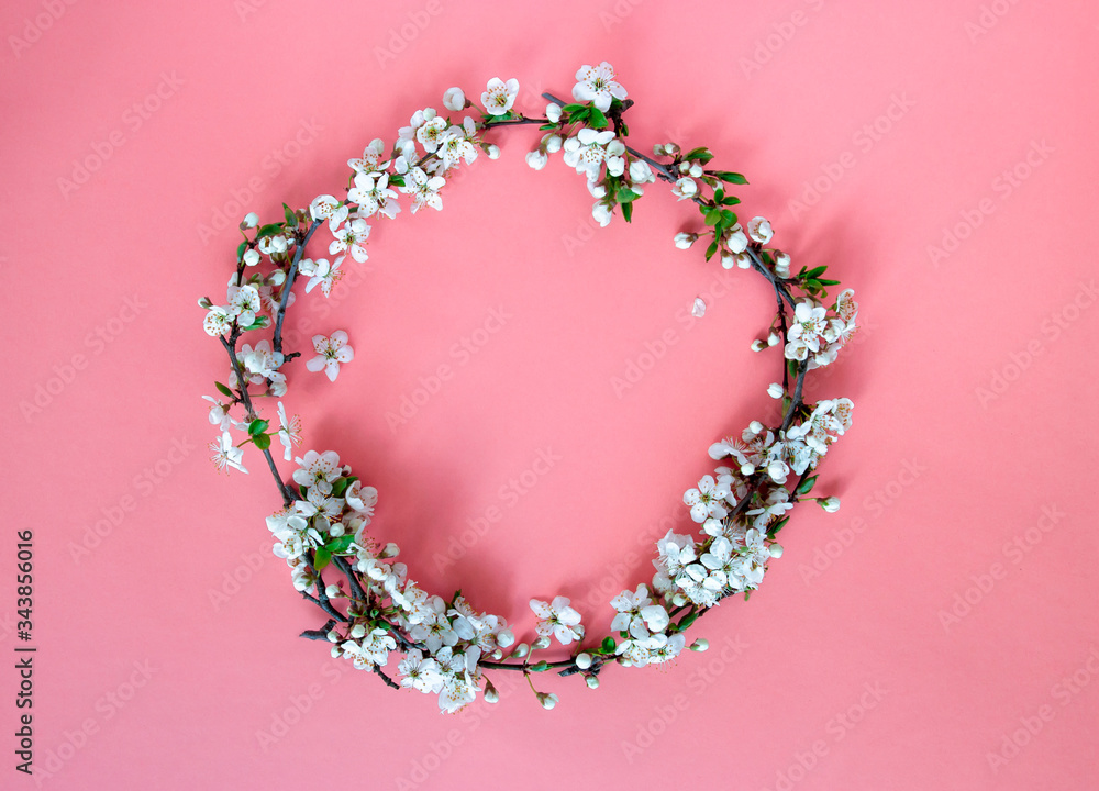 on a pink background, spring decorative wreath of branches of flowering cherry trees. room design