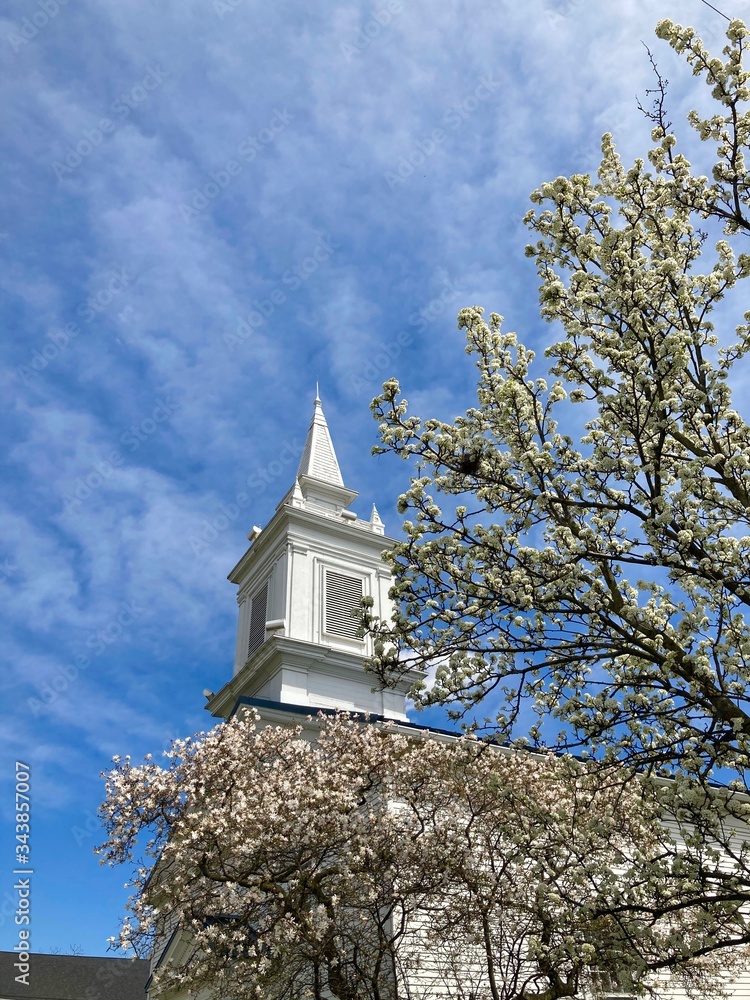 church steeple with flowering tree church steeple with flowering tree